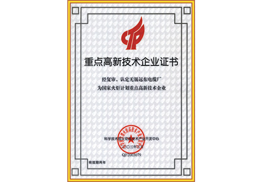重點高新技術(shù)企業(yè)證書