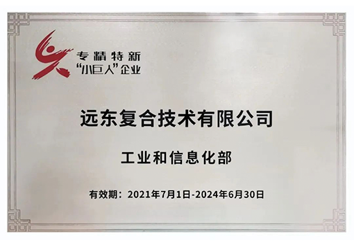 遠東復合技術專精特新小巨人企業